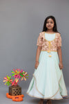Pre-Order: Light Blue Anarkali Dress with attached Embroidery Jacket