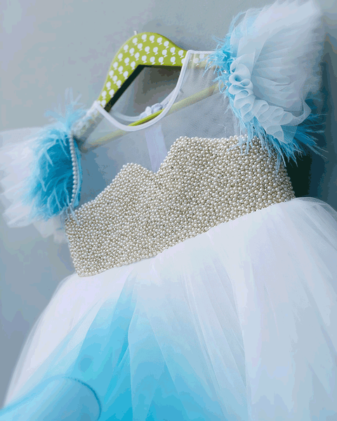 Pre-Order: Shaded Blue Pearl Embellished Yoke Gown