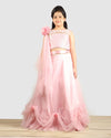 Pre-Order: Old Rose Ghagra Choli with Embellishment on chest
