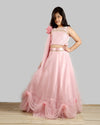 Pre-Order: Old Rose Ghagra Choli with Embellishment on chest