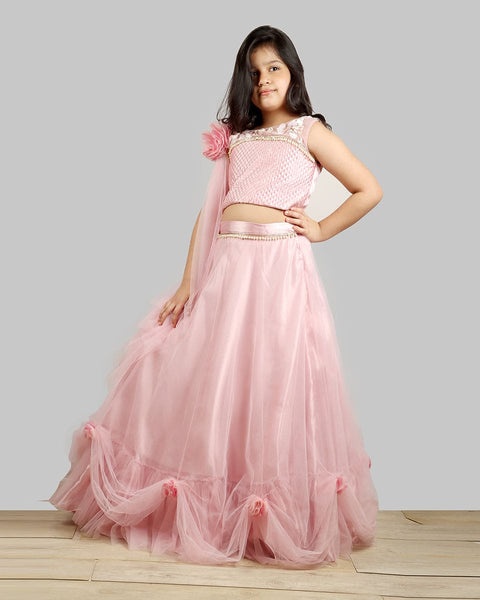 Pre-Order: Old Rose Ghagra Choli with Embellishment on chest