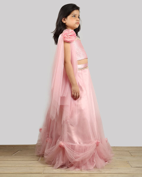 Pre-Order: Old Rose Ghagra Choli with Embellishment on chest