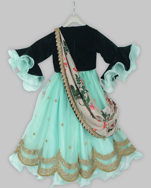Pre-Order: Green Velvet Choli with Embroidered Lehenga Dupatta