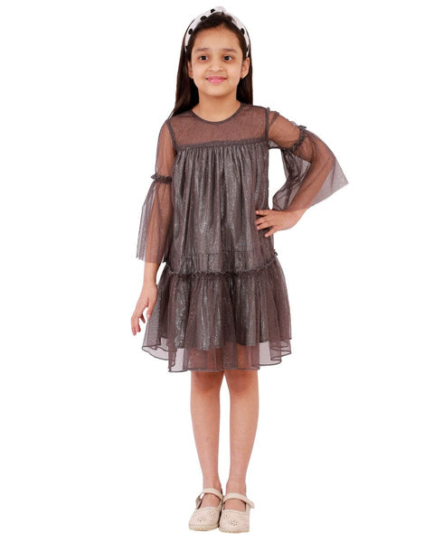Shimmer Net Dress