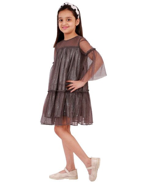 Shimmer Net Dress