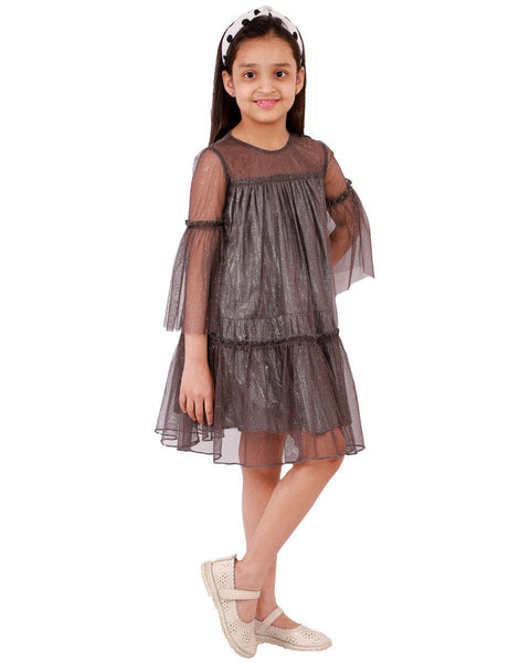 Shimmer Net Dress