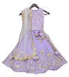 Pre-Order: Light Purple Embroidery Choli with Lehenga