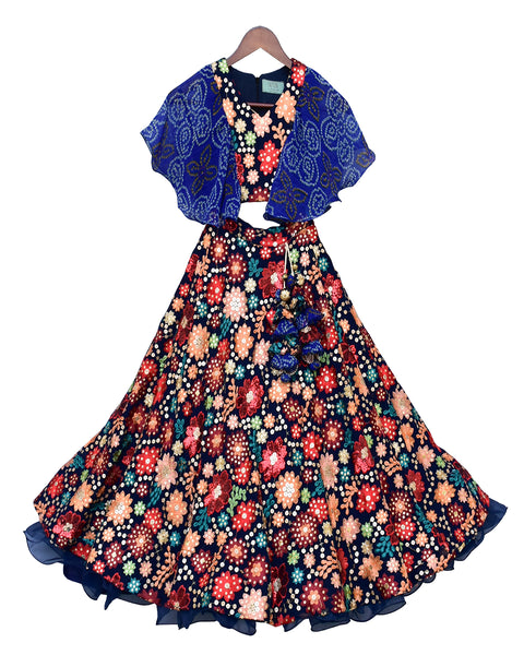 Pre-Order: Multi Colour Embroidery Choli Lehenga
