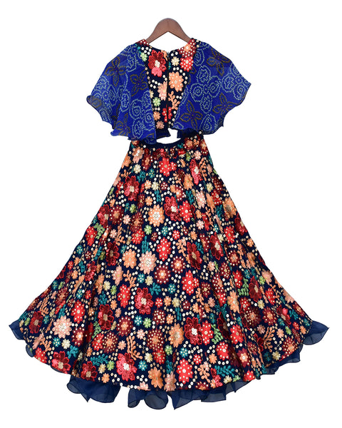 Pre-Order: Multi Colour Embroidery Choli Lehenga