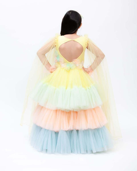 Pre-Order: Multi Colour Net Layers Gown