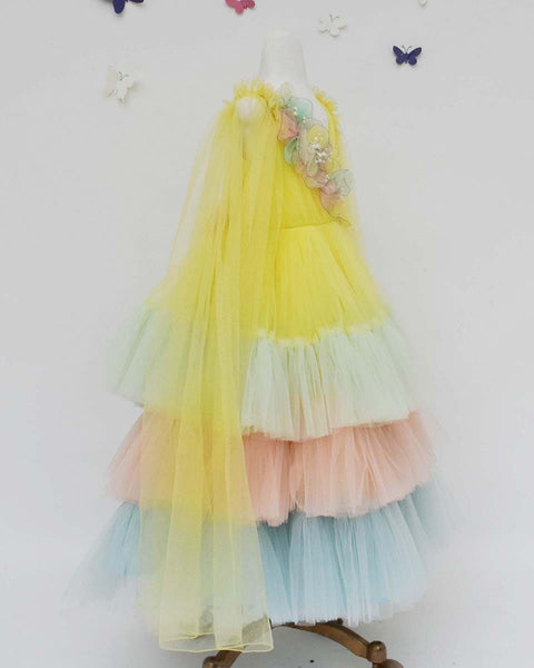 Pre-Order: Multi Colour Net Layers Gown
