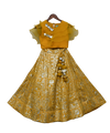 Pre-Order: Mustard Yellow Embroidery High Waist Lehenga Choli with Organza Dupatta