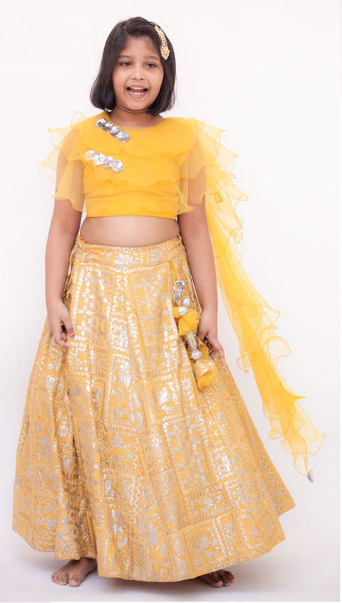 Pre-Order: Mustard Yellow Embroidery High Waist Lehenga Choli with Organza Dupatta