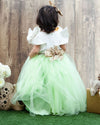 Pre-Order-Off-White and Green Net Gown with Animals motifs
