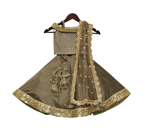 Pre-Order: Olive Green Embroidery Choli with Lehenga