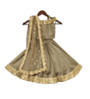 Pre-Order: Olive Green Embroidery Choli with Lehenga