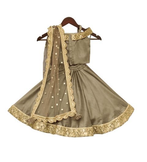 Pre-Order: Olive Green Embroidery Choli with Lehenga