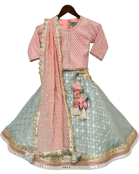 Pre-Order: Peach Embroidery Choli with Lehenga