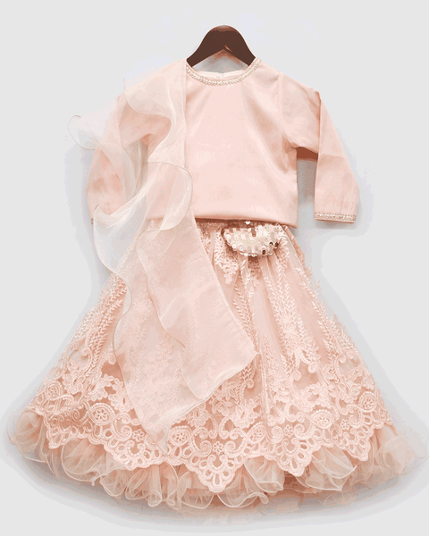 Pre-Order: Peach Silk Choli with Embroidery Net Lehenga