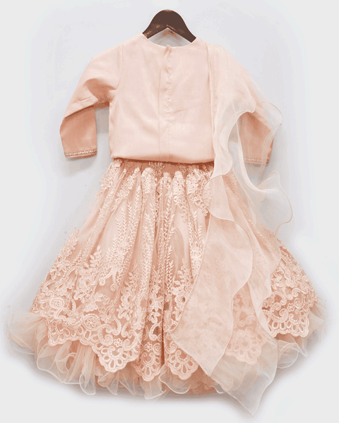Pre-Order: Peach Silk Choli with Embroidery Net Lehenga