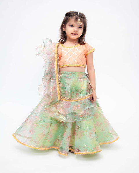 Pre-Order: Peach Choli with Green Printed Organza Lehenga and Dupatta