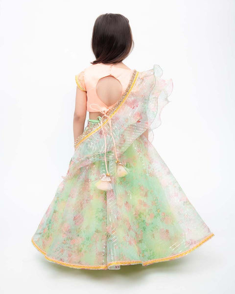 Pre-Order: Peach Choli with Green Printed Organza Lehenga and Dupatta