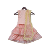 Pre-Order: Peach Embroidery Kurta with Peach Lehenga