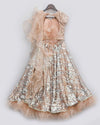 Pre-Order: Peach Sequins Choli with Lehenga and Ruffles Dupatta