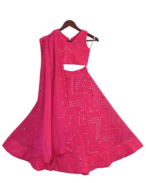 Pre-Order: Pink Embroidery Choli with Lehenga