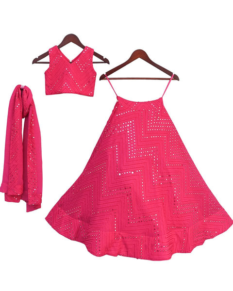 Pre-Order: Pink Embroidery Choli with Lehenga