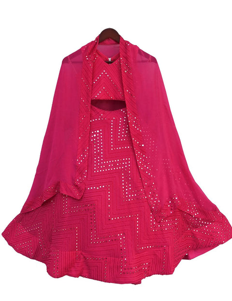 Pre-Order: Pink Embroidery Choli with Lehenga