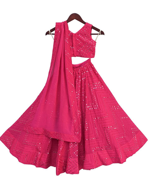 Pre-Order: Pink Embroidery Choli with Lehenga