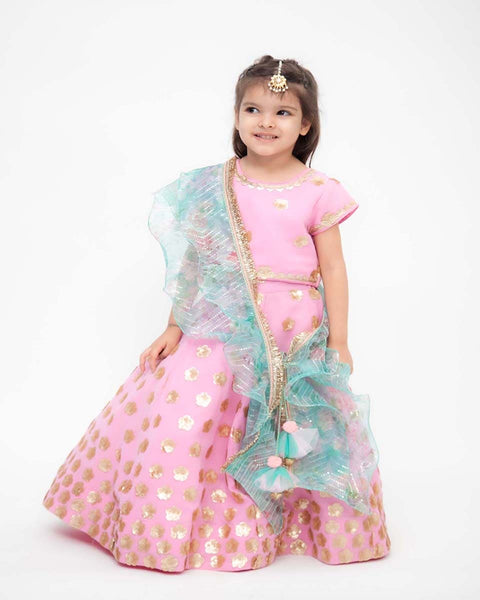 Pre-Order: Pink Sequins Lehenga Choli Set