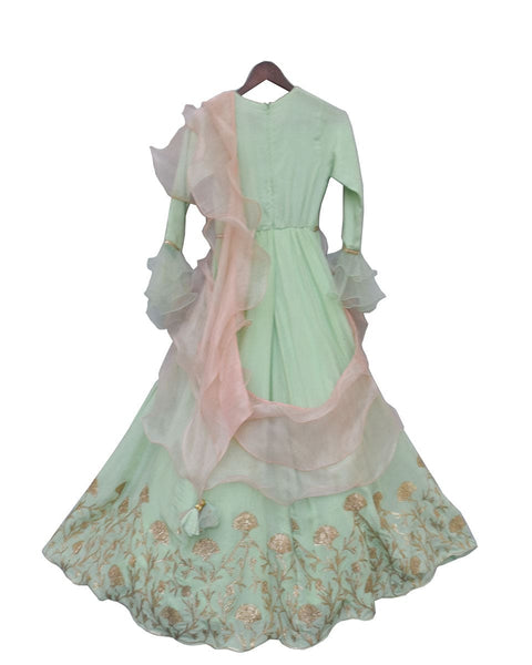 Pre-Order: Pista Green Gota Anarkali Dress
