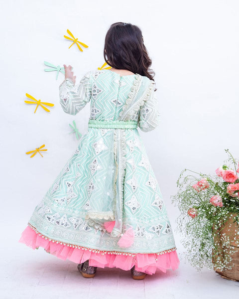 Pre-Order: Pista Green Gota Embroidery Anarkali