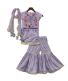 Pre-Order: Purple Kurti with attached Phulkari Jacket