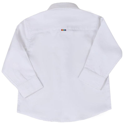 Pre-Order: Paint the Zebra Rainbow Shirt