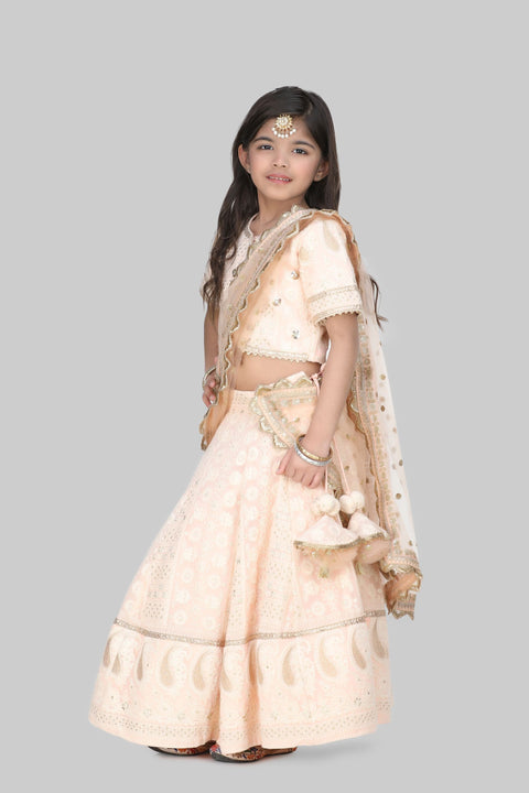 Pre-Order: Peach Lucknowi Embroidery Lehenga Choli with Dupatta