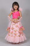 Pre-Order: Pink Net Embroidered Ghagra