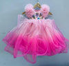 Pre-Order: Fairly Pink Gown