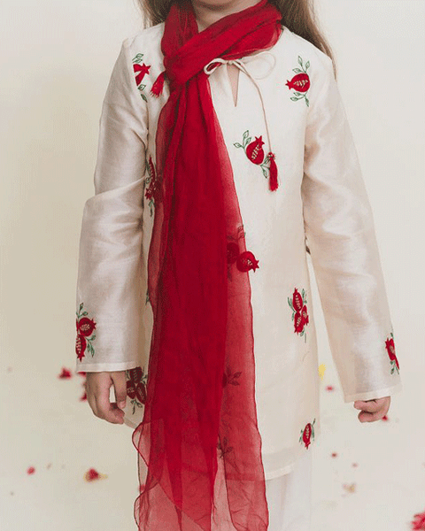 Embroidered Straight Kurta Pant Set