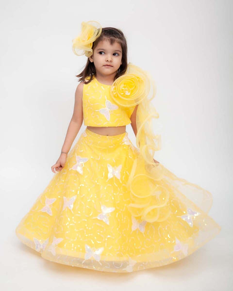 Pre-Order: Yellow Butterfly Embroidery Lehenga with Choli