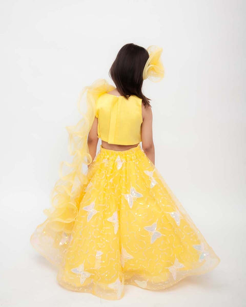Pre-Order: Yellow Butterfly Embroidery Lehenga with Choli