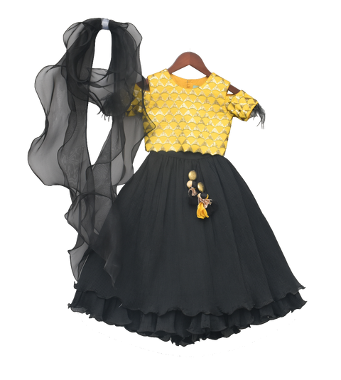 Pre-Order: Yellow Embroidery Choli with Pleated Lehenga