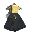Pre-Order: Yellow Embroidery Choli with Pleated Lehenga