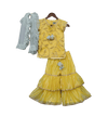 Pre-Order: Yellow Embroidery Kurta with Yellow Sharara