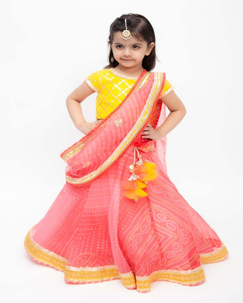 Pre-Order: Yellow Sequins Choli with Coral Organza Lehenga and Dupatta